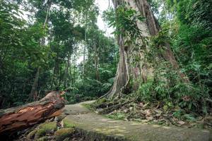 BIB: 
                            <button type="button" onclick="openModal(24809414)" class="btn btn-primary btn-sm float-right btn-popup" data-toggle="modal" data-target=".modal-high-quality">
                        <i class="fas fa-shopping-cart"></i> Add to Cart
                    </button>
                                            <button type="button" onclick="isThisMe(24809414, true)" class="btn btn-success btn-sm float-right btn-popup btn-isme hidden" data-toggle="tooltip" data-placement="bottom" title="นี่คือรูปของคุณใช่ไหม คลิกที่นี่เพื่อเอาเข้าอัลบั้ม">
                        <i class="fas fa-plus"></i> Add to album
                    </button>
                    <button type="button" onclick="isThisMe(24809414, false)" class="btn btn-warning btn-sm float-right btn-popup btn-isnotme hidden">
                        <i class="fas fa-ban"></i> Remove from album
                    </button>